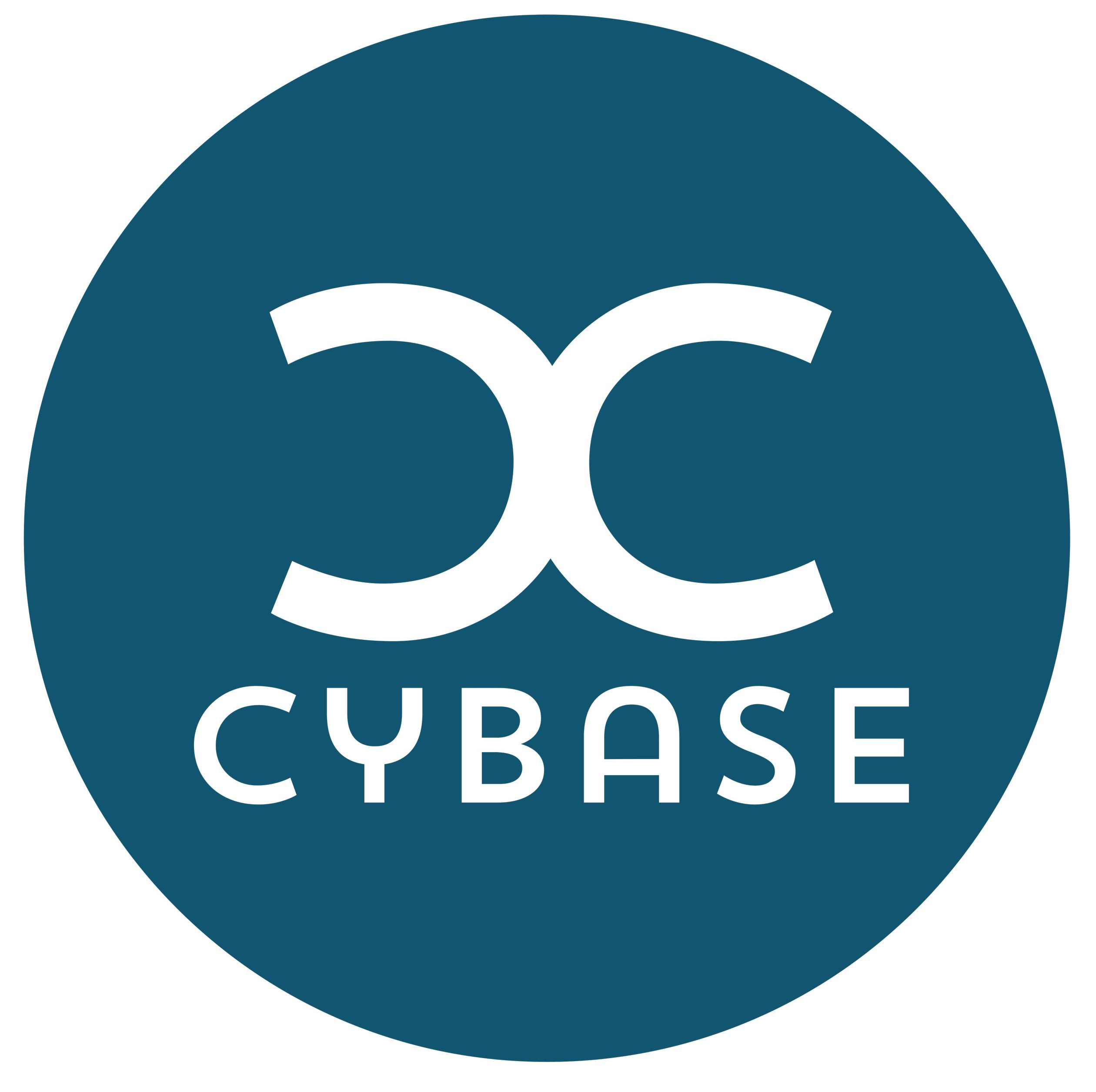 Cybase Demo